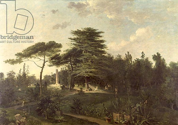 The Cedar of Lebanon in the Jardin des Plantes
