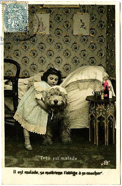 Postcard: Toto is sick, he is sick, his mistress forces him to go to bed, Prince