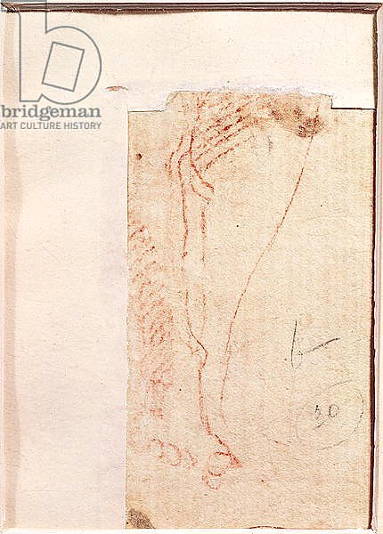 Study of Christ's feet nailed to the Cross