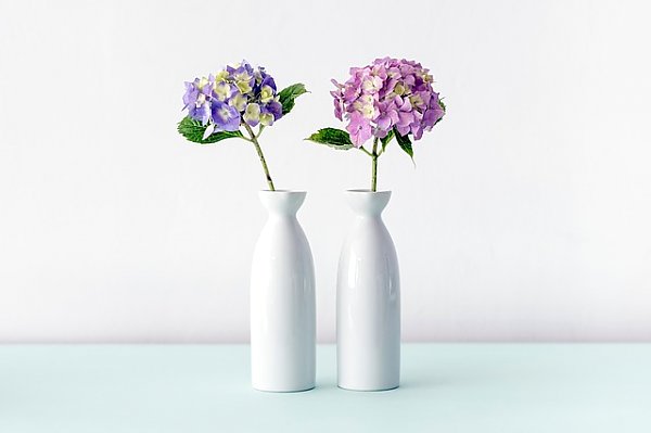 Цветы в белых керамических вазах