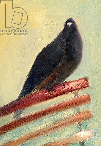 Kingly Court Pigeon, 2013,