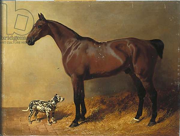 A Bay Hunter and a Spotted Dog in a Stable Interior, 1846