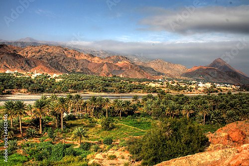 Оазис в пустыне Омана 2