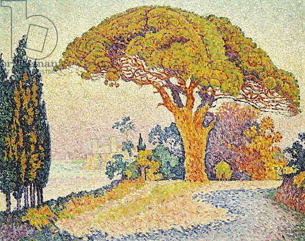 Pine Trees at Bertaud, Saint- Tropez, 1900