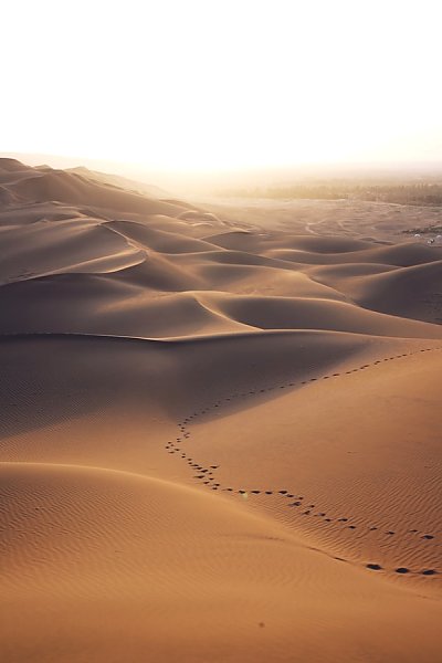 Путь через пустыню