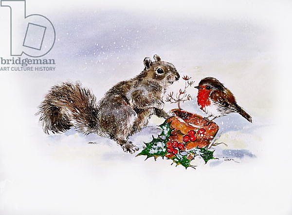 The Squirrel and the Robin
