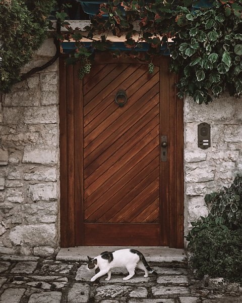 Кошка у двери, Ровинь, Хорватия