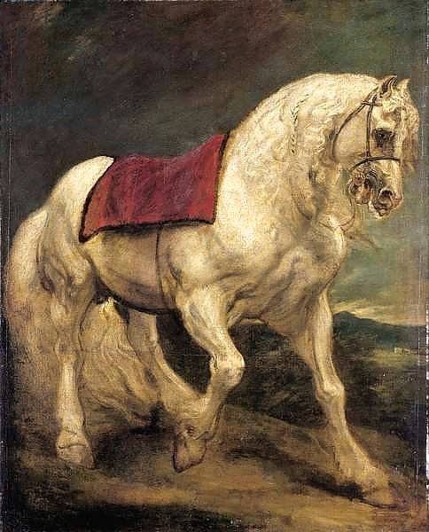 A bridled grey stallion, with a saddle cloth and partially plaited mane: a modello