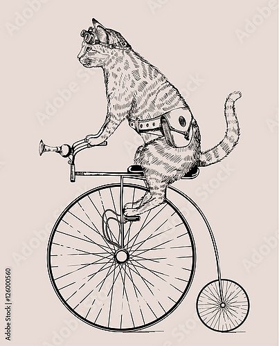 Кошка на ретро велосипеде