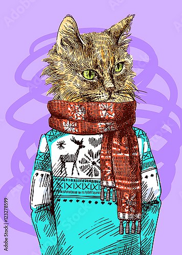 Кот в вязаном свитере