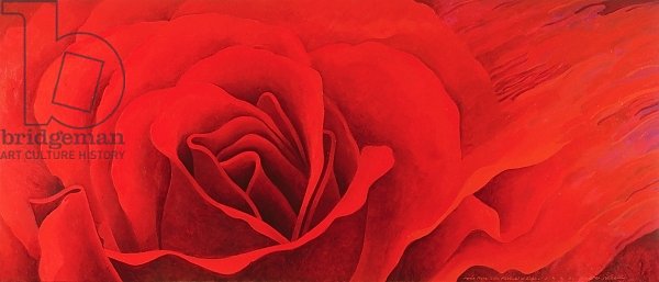 The Rose, in the Festival of Light, 1995 2