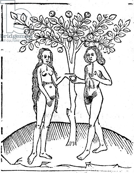 Adam and Eve, illustration from the 'Speculum Vitae Christi', 1491