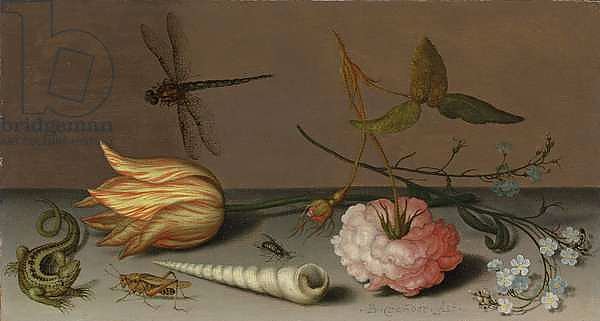 A tulip, a carnation, spray of forget-me-nots, with a shell, a lizard and a grasshopper, on a ledge, a dragonfly in flight