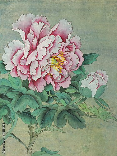 Нежно-розовый цветок пиона с бутоном 