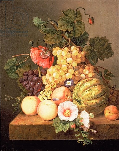Still life with fruit 2