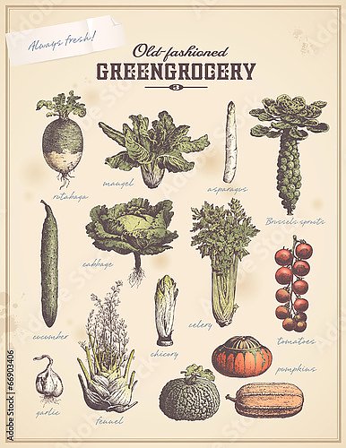 Ретро плакат огородника с разными овощами (3)