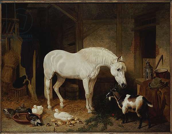 Stable Companions