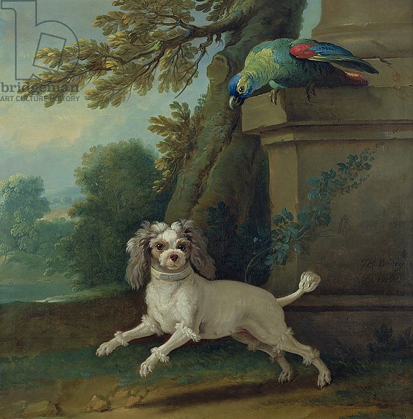 Zaza, the dog, c.1730
