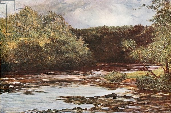 The River Ayr at Failford