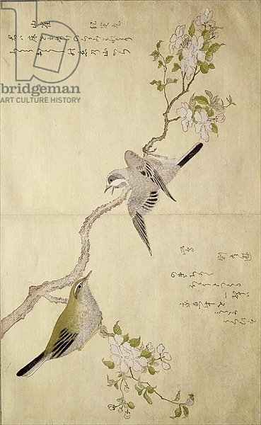 Tit on a bough on the right and a Bush-warbler on a branch on the left