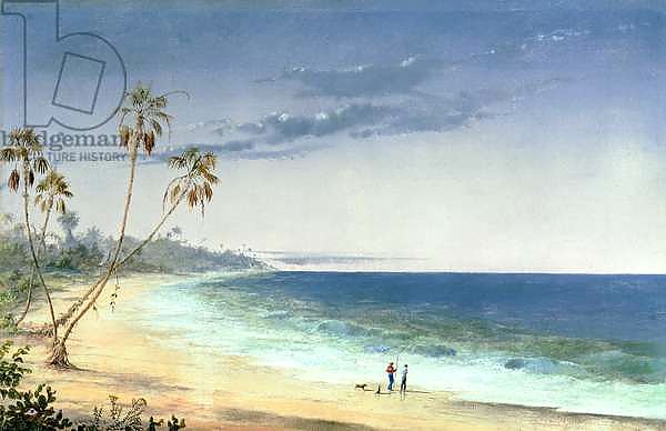 Cuban Landscape, 1866