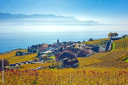 Швейцария. Осенние виноградники долины Лаво №2