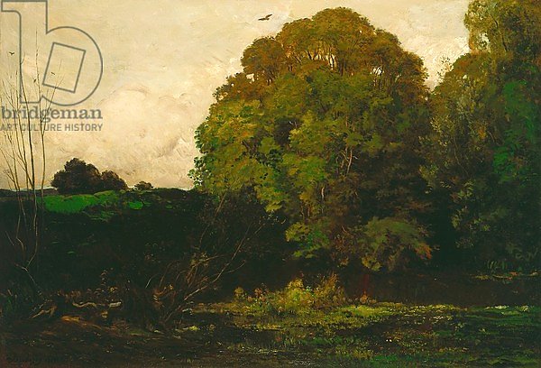 A Pond in the Morvan, 1869