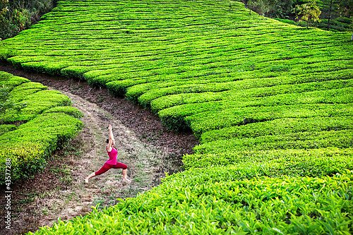 Йога на чайных плантациях
