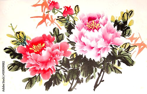 Розовые китайские пионы