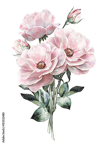 Букет розовых роз с бутонами