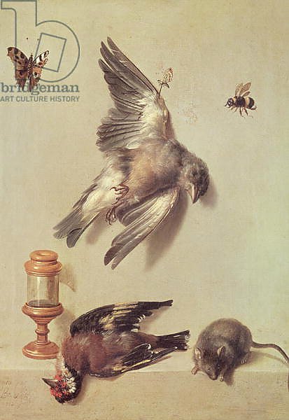 Still Life of Dead Birds and a Mouse, 1712