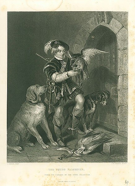 The Young Falconer