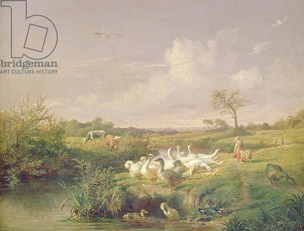 Geese Grazing, 1854