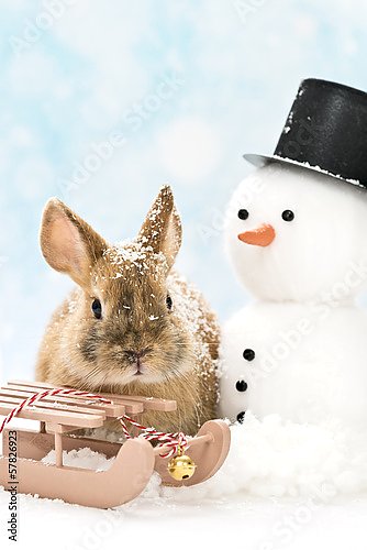Кролик с игрушечными санками и снеговиком