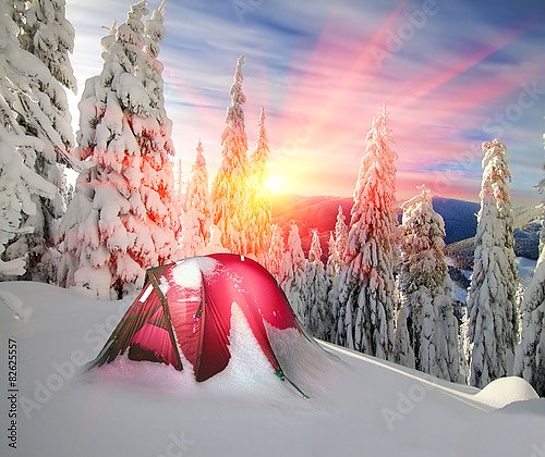 Палатка в заснеженном лесу