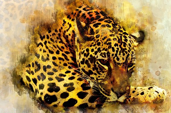 Акварельный портрет леопарда 1