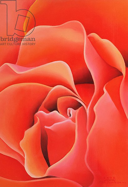 The Rose, 2003 4