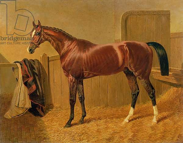 'Orlando', Winner of the Derby in 1844