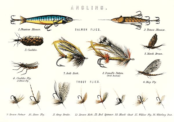 Рыболовные приманки на британских пресноводных рыб (1879)