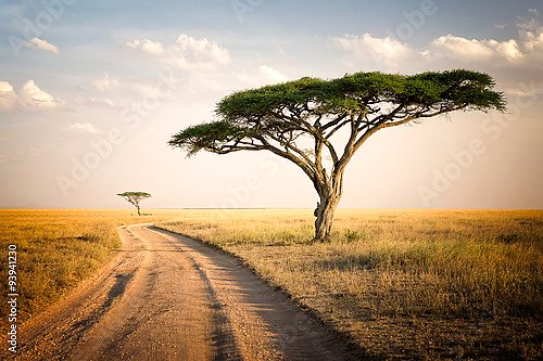 Постер Африканский пейзаж, Танзания