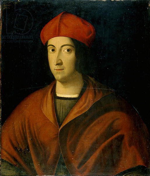 Portrait of a cardinal
