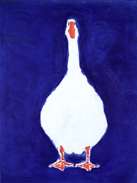 Coedwynog Goose, 2000