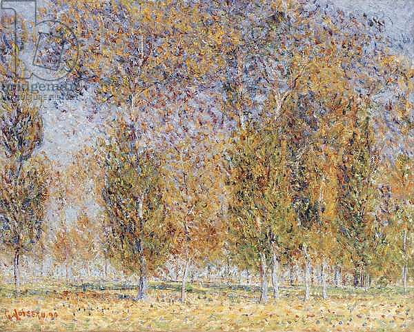 Autumn Impression, Saint-Cyr-Du-Vaudreuil, 1899