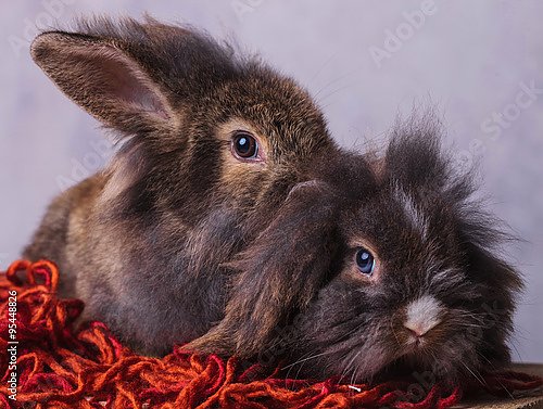 Кролики в красных нитках