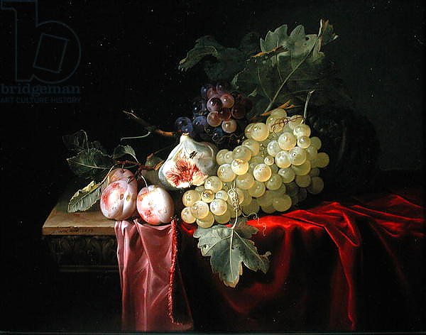 A still life with grapes, plums, figs and a melon on a partly draped stone ledge, 1653