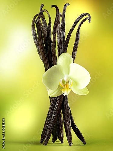 Палочки ванили с цветком