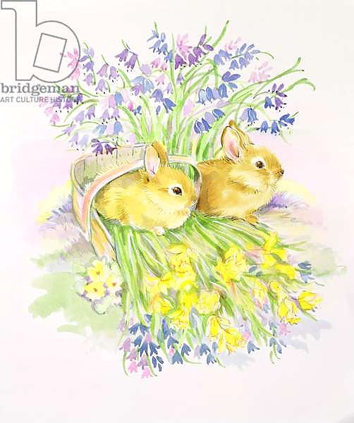 Rabbits in a basket with Daffodils and Bluebells