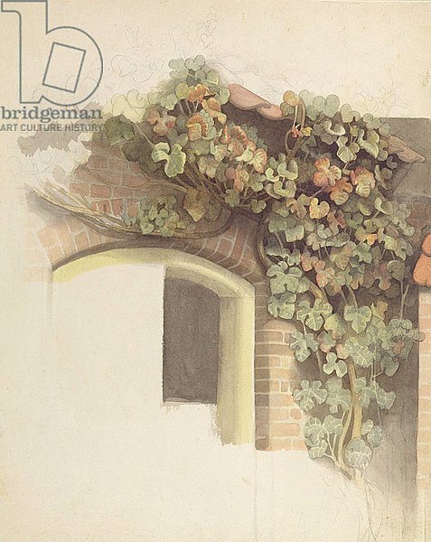 Grapevines on a Brick House, 1832