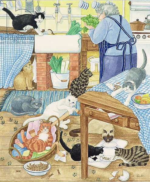 Grandma and 10 cats in the kitchen