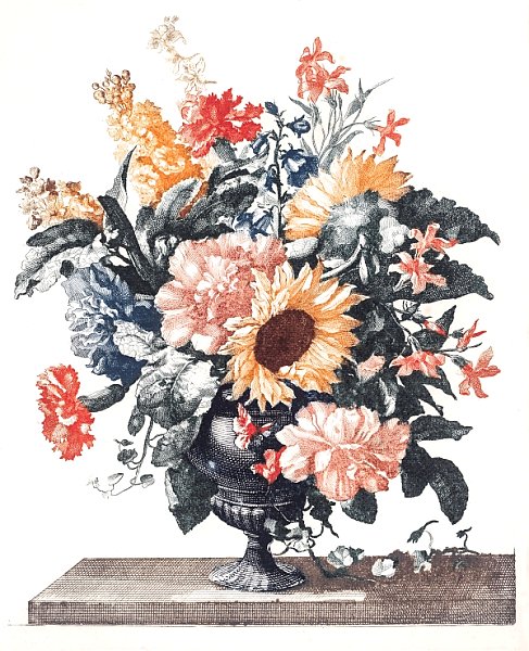 Каменная ваза с подсолнухами и гвоздиками (1688-1698)